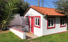 Lisbon Cozy House W/Garden And Pool
